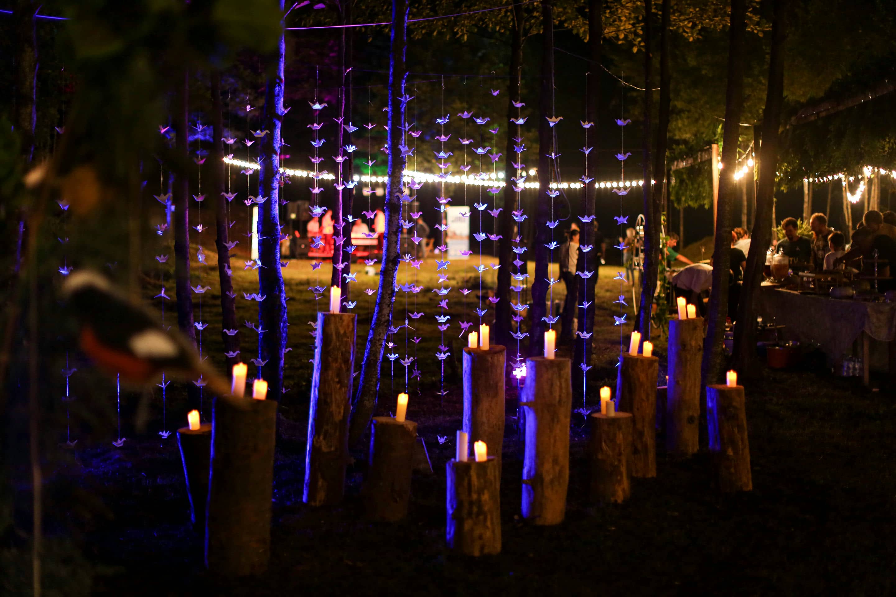 Batumibirdfest
