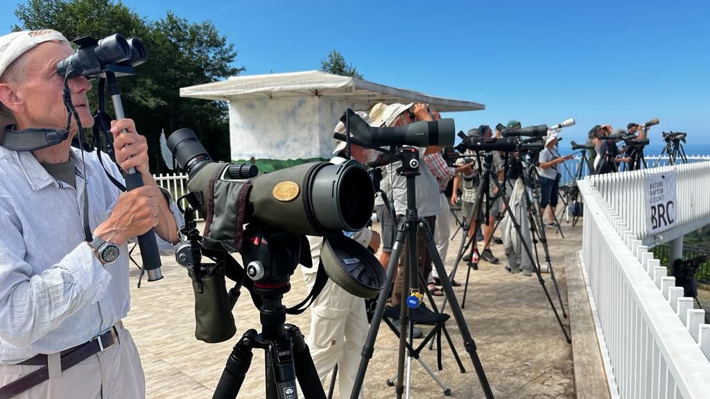Batumibirdfest