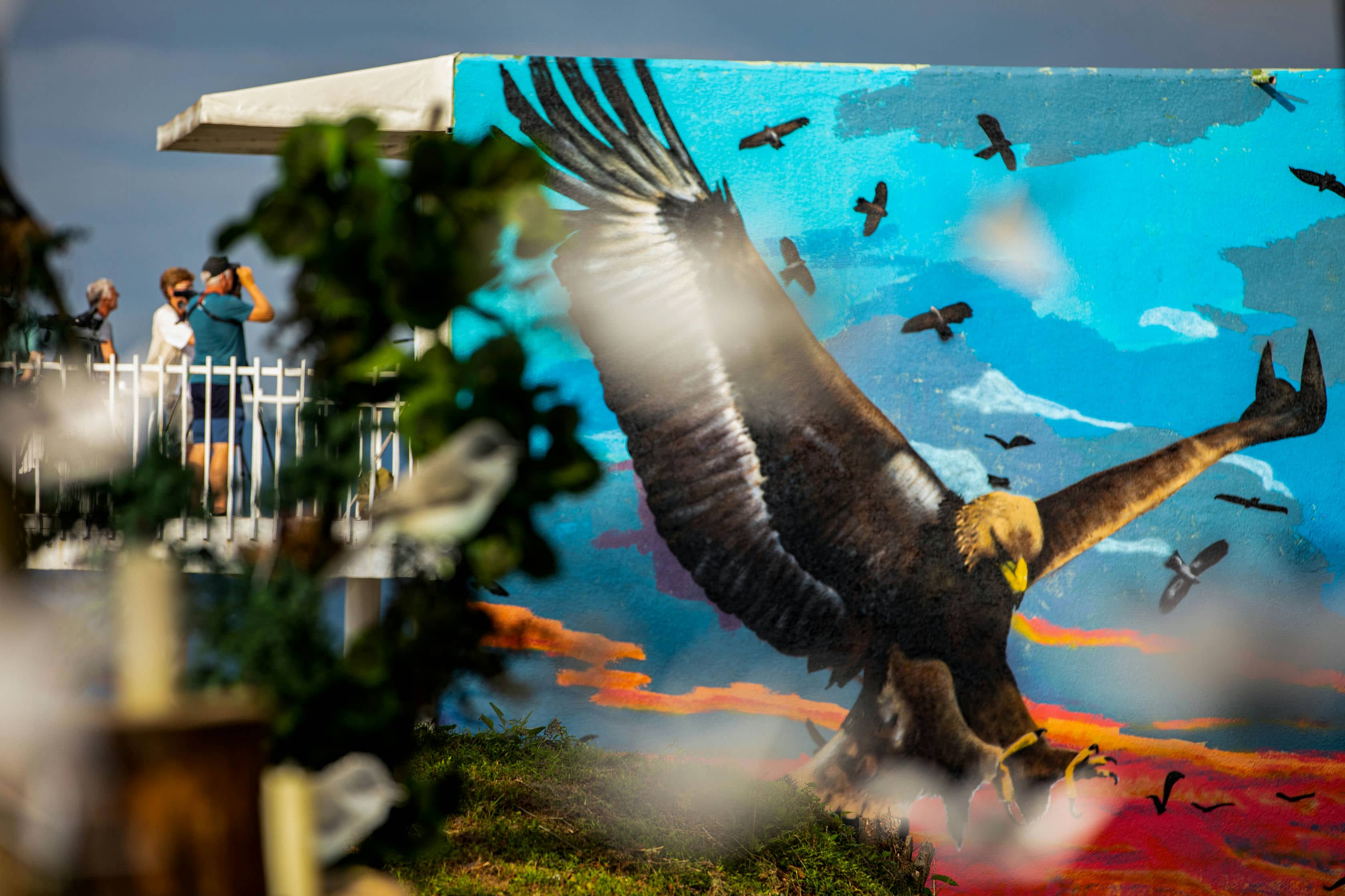 Batumibirdfest