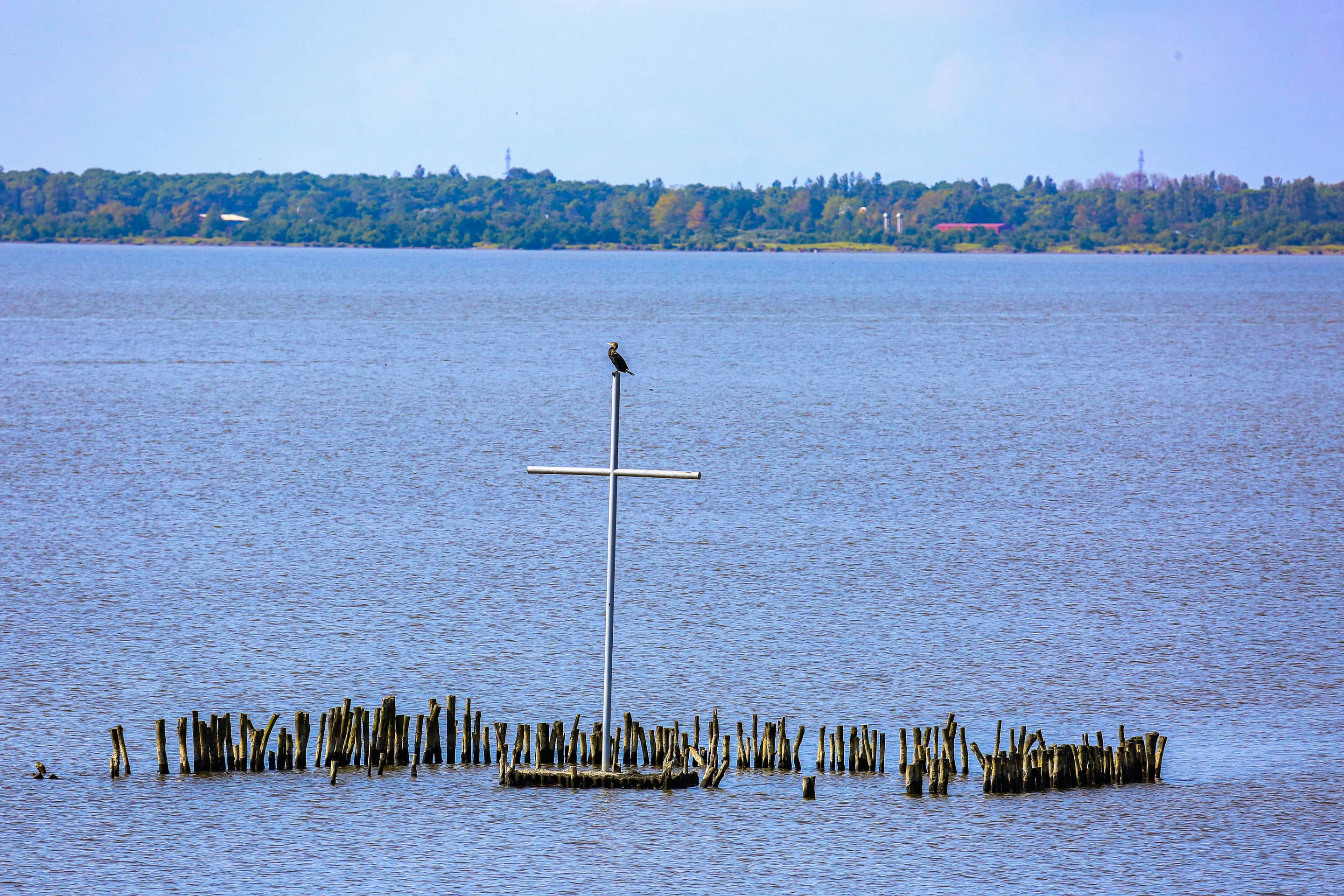 Batumibirdfest