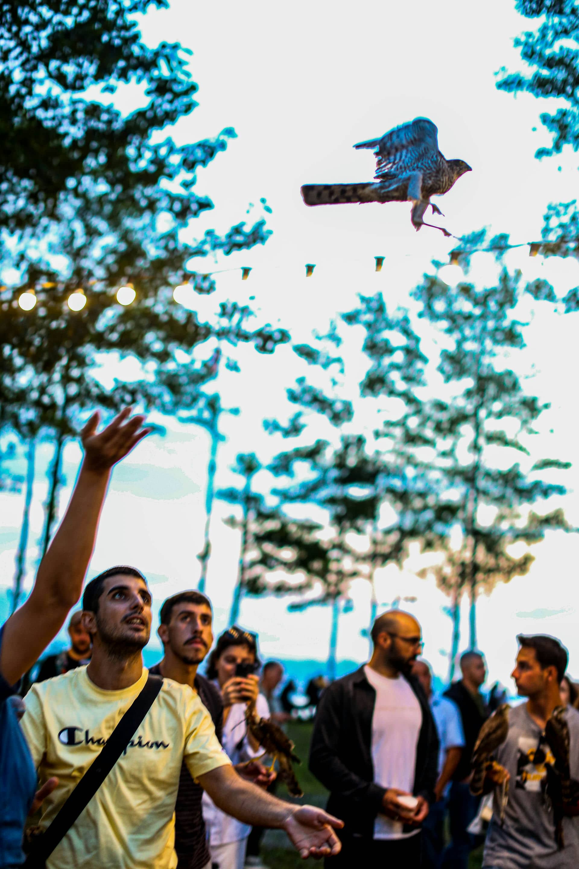 Batumibirdfest