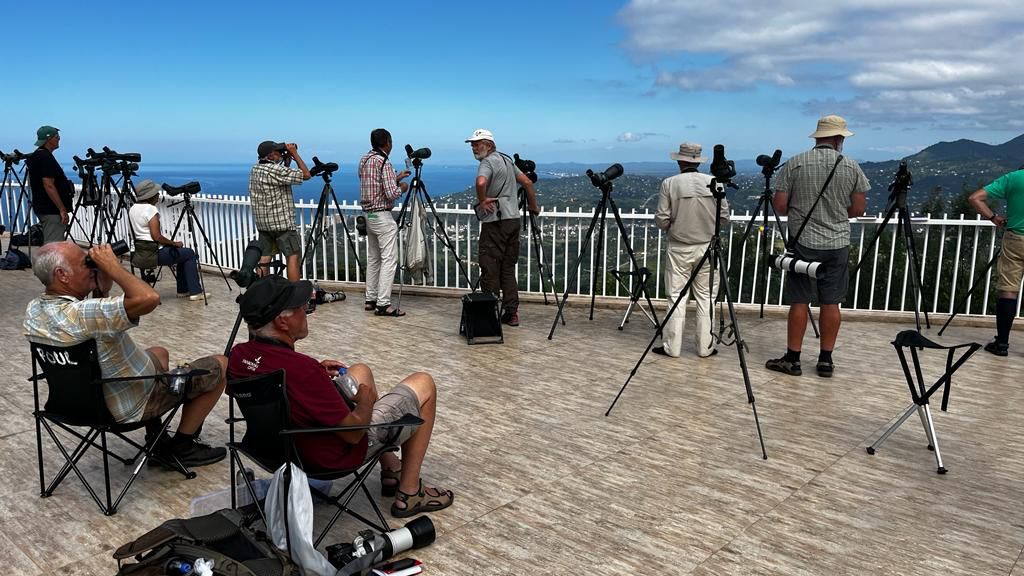 Batumibirdfest
