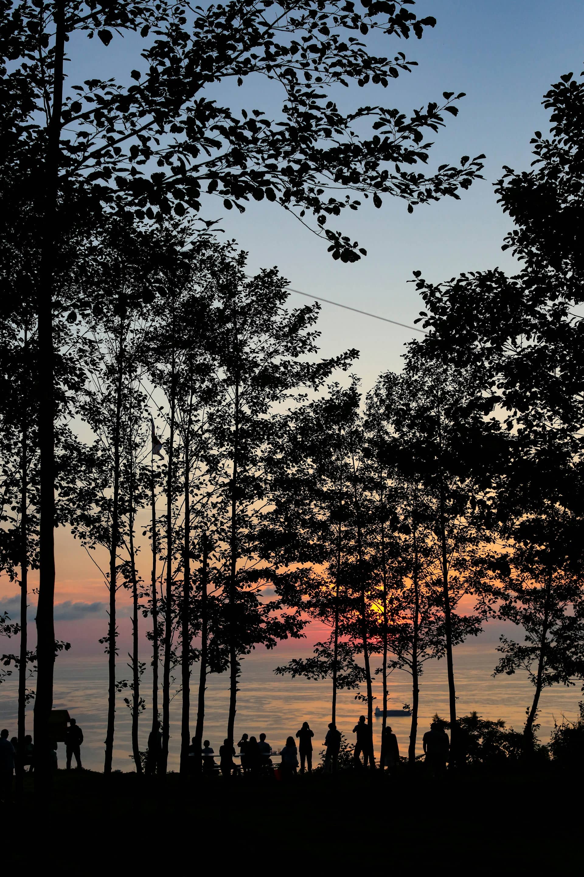Batumibirdfest
