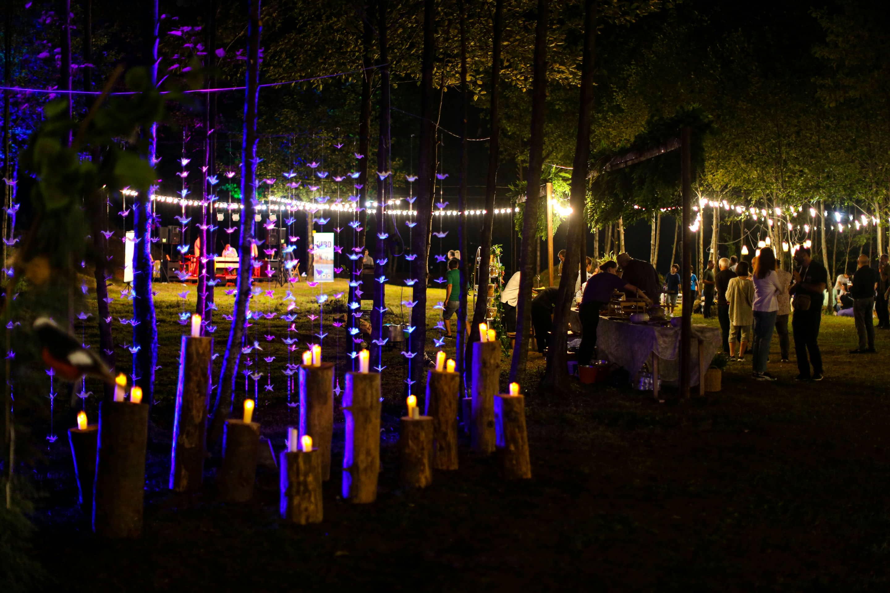 Batumibirdfest