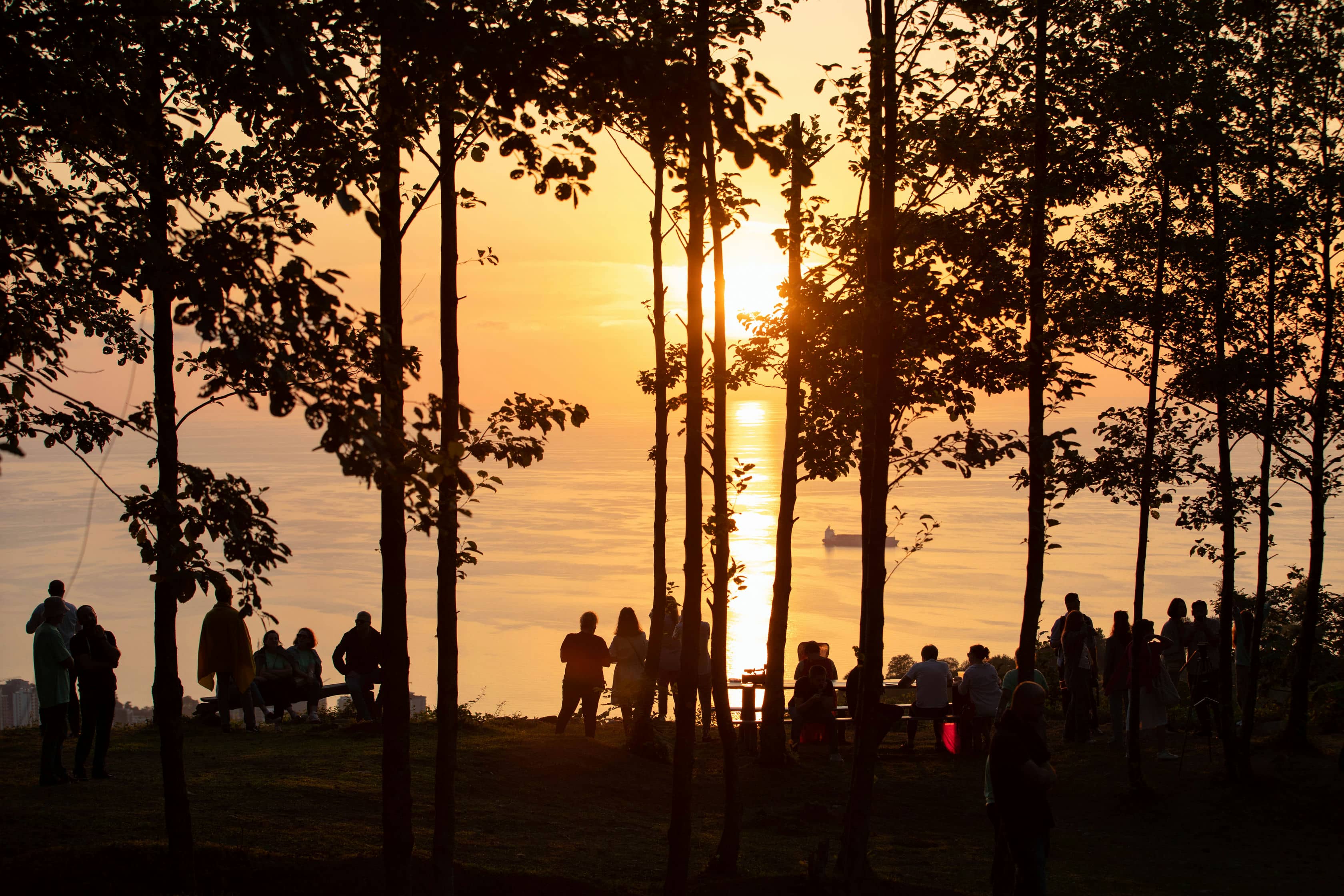Batumibirdfest