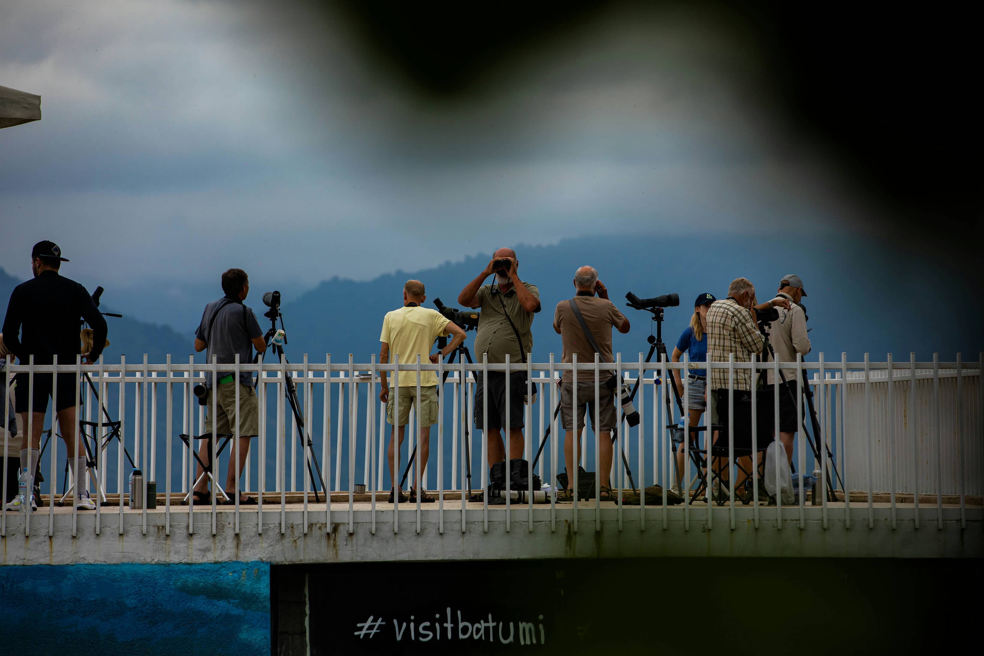 Batumibirdfest