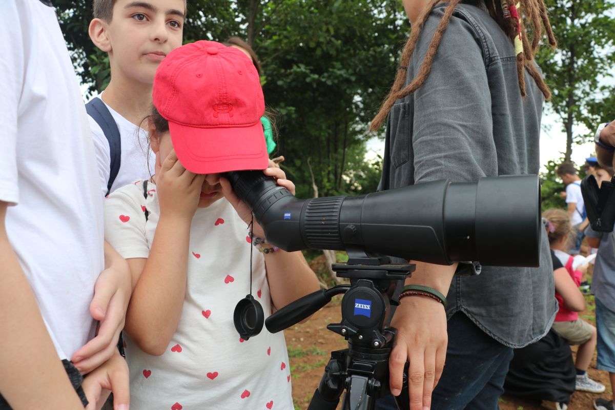 Batumibirdfest