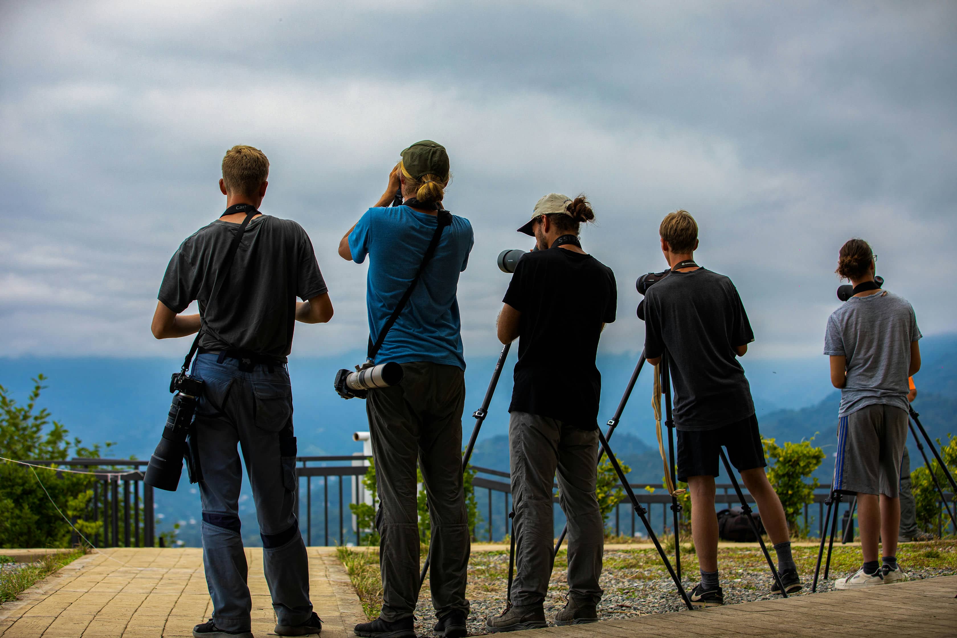 Batumibirdfest