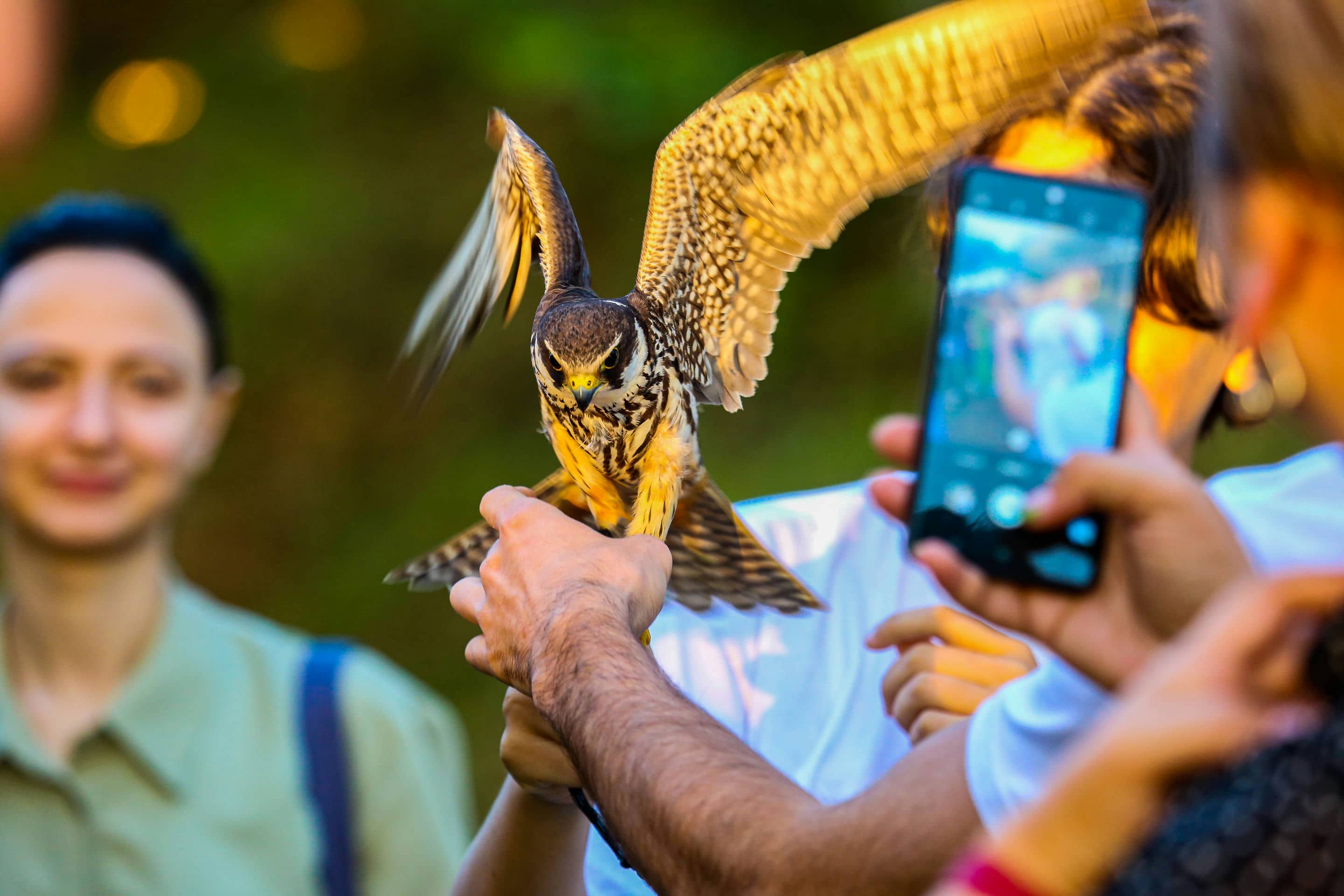 Batumibirdfest