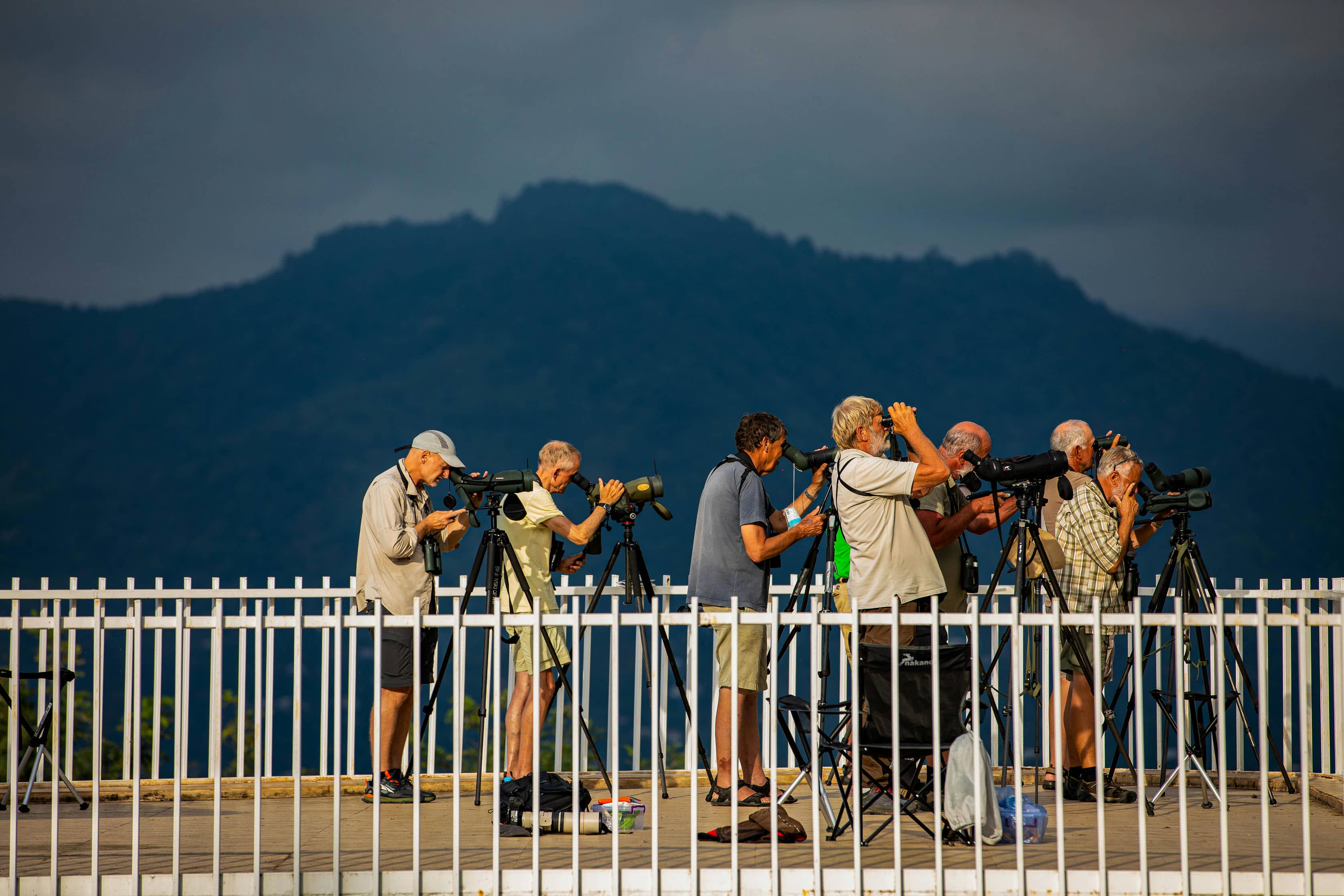 Batumibirdfest